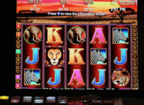 星空体彩app正式版