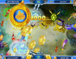 星空体彩app免费版