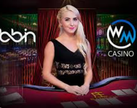 星空体彩app电脑免费版