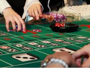 星空体彩app免费版